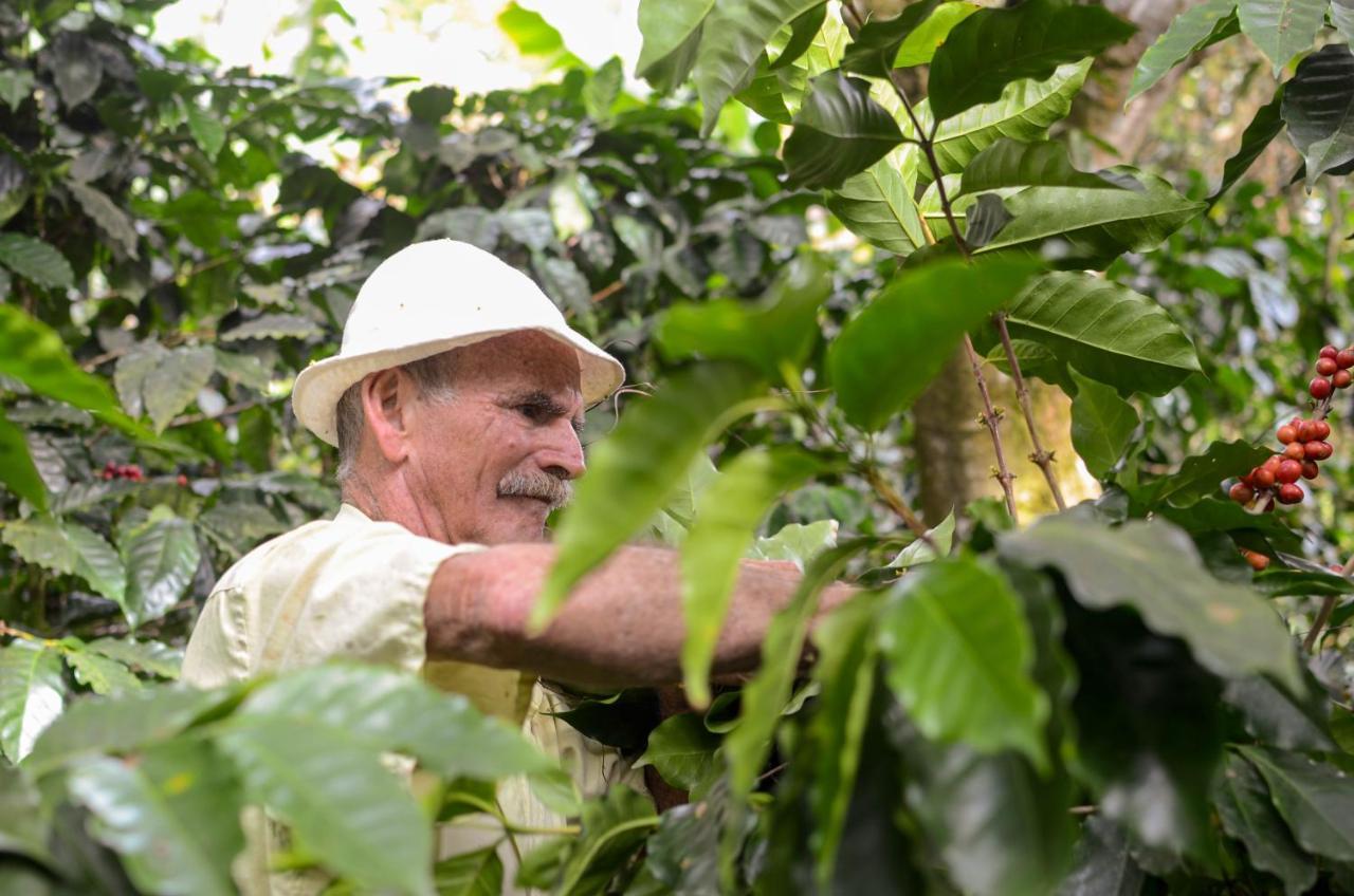 Batsu Ecolodge & Coffee Farm San Ramón 外观 照片