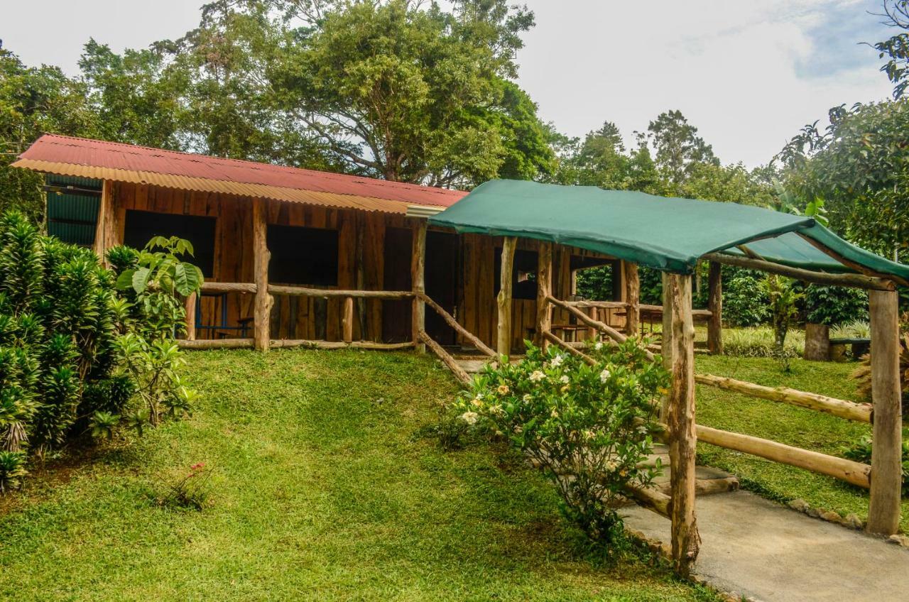 Batsu Ecolodge & Coffee Farm San Ramón 外观 照片