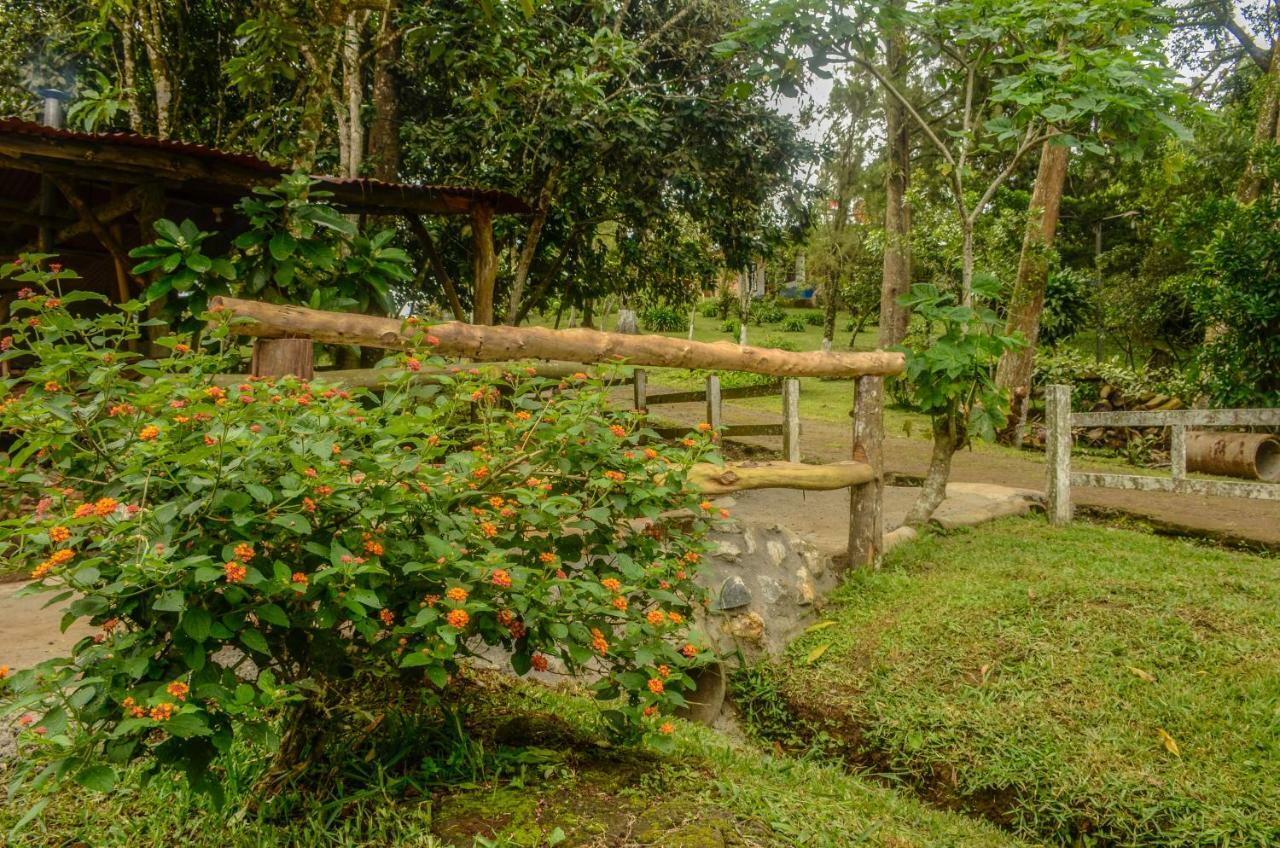 Batsu Ecolodge & Coffee Farm San Ramón 外观 照片